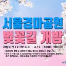 서울경마공원 벚꽃길 개방(4.8.~4.17.) 이미지