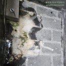 타랑 | 제주 서귀포시 대정읍 - [코롱코롱풀빌라]