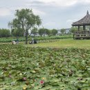 삼락생태공원 이미지