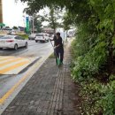 일동농협주유소 이미지