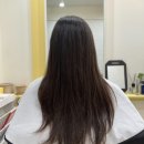 필린헤어