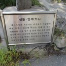 외입석 이미지