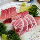 회친구참치