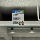 플렉스 복싱 킥복싱 이미지