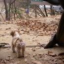 씨알농장 이미지