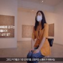 영암곤충박물관 이미지