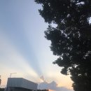 현규목장 이미지