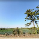 세림부동산공인중개사사무소 이미지