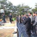 정래할머니 Daum카페