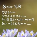 길목 Daum카페