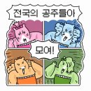 자인초등학교 | 빈티지 감성 천호동 카페 카페솔리｜수제케이크 맛집 티라미스 홀케이크 후기