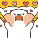 라미 Balance Fit 이미지