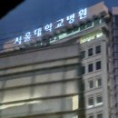 원앙약국 | 두개인두종 수술 후기 - ⑤ 퇴원 후 외래진료 후기, 집에서 요양 중😴