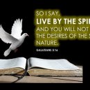 Bible Reading - Galatians 5:10~18 이미지