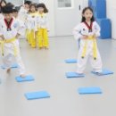 남도 태권도장 네이버블로그