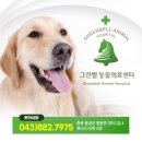 오창동물병원 이미지