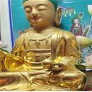 대한불교 정토교종 정토삼부경 수행 이미지