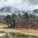 강변에서 이미지