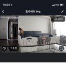 예은켄넬 이미지