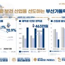 [부산가톨릭대] 2026 수시 경쟁률 이미지
