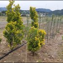 풍동농장 이미지