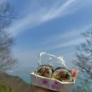 명품달인김밥오션점 이미지