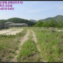 도리 회리 네이버블로그