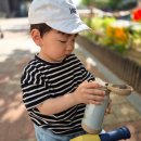 써모스 마이디자인보틀 시즌3 커스텀 블루, 그린 후기 / 연마제 없는 텀블러, 어린이집 준비물