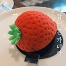 리얼타임 | 파나소닉 루믹스 S9 리얼타임 LUT 럿 사용 후기