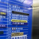 스컬프맨즈헤어 이미지