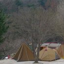 수산아카데미