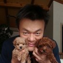 애견사랑 이미지