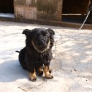 명곡동300 이미지