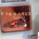우리애동물병원 이미지