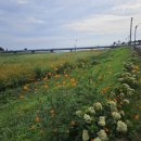 아름다운마을 이미지