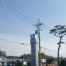 청하간장게장 이미지