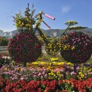 자동차전문정비업 이미지