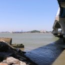 양매축산 | 서해안국토종주 10-10(군산비응항-군산역)동백대교-군산내항-진포해양공원(2018년 5월 23일)