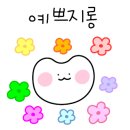 너를보다플라워 이미지
