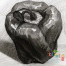 연필 한자루로 담아내는 세상, 소묘 이미지