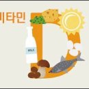 벨라핏 이미지