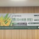 벼 농작물재해 보험~ 들러갔다가 ?! (머리스팀😤) 이미지