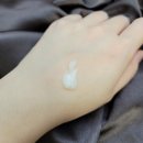 데일리헤어 티스토리
