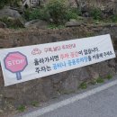 여주-1016 | 충주 애견 동반 카페 구옥날다 방문 후기