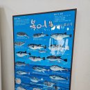 부일복국무전점 이미지