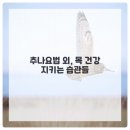 강북안정한의원 이미지