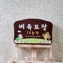 나무소리펜션 민박 이미지