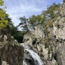 춘원식당 이미지