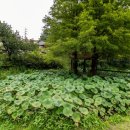 황토민박 이미지