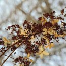 함평자연생태공원 이미지